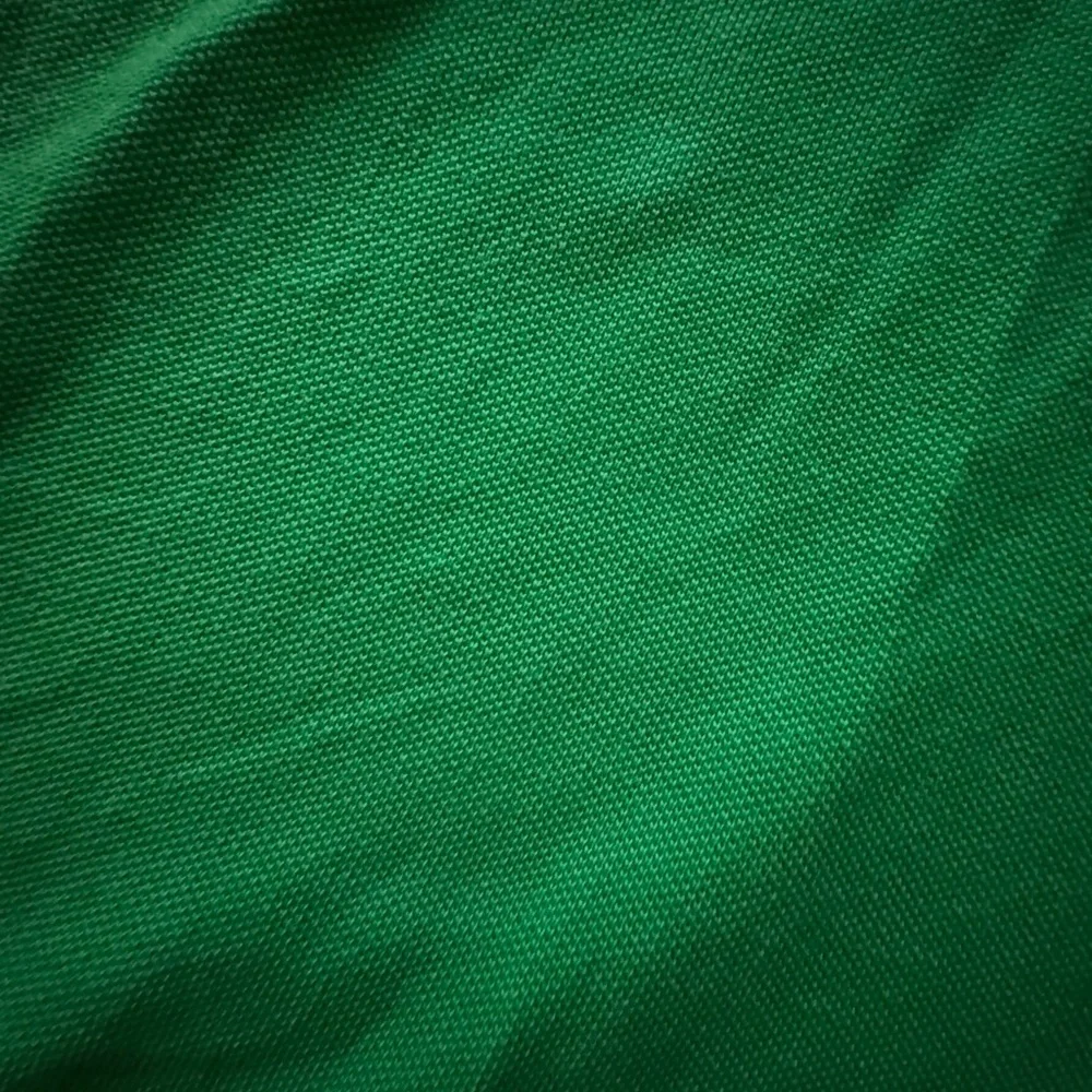 Ralph Lauren Polo Shirt in Rich Green